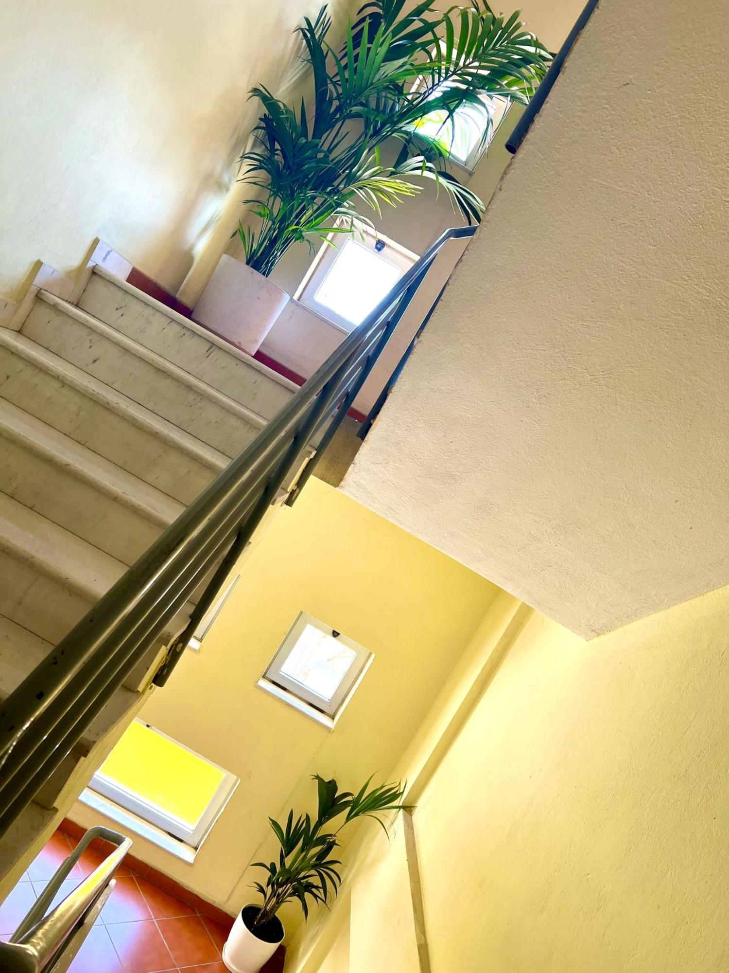 Elda Yellow Palace, Pazari I Ri Tirana